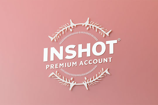 خرید اکانت پرمیوم اینشات برای چه کسانی مناسب است؟